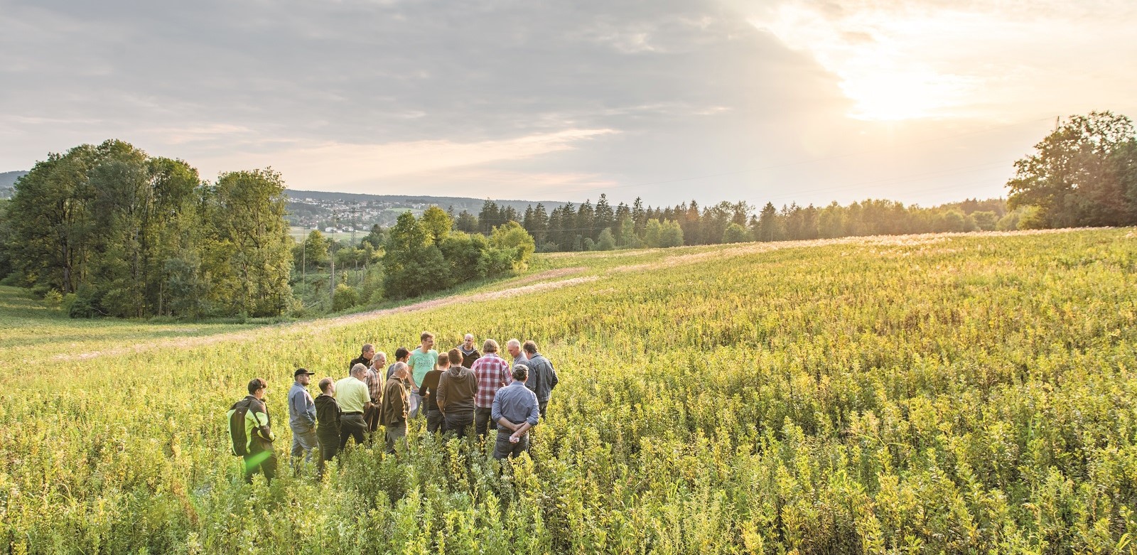 Eine Gruppe Landwirte hat sich in einem Feld versammelt.