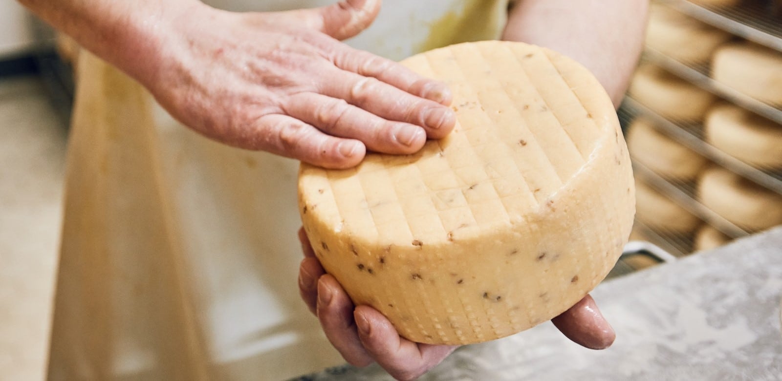 Ein Käse, der von zwei Händen gehalten wird.